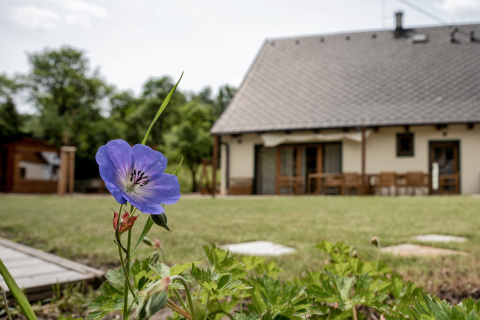 Relax Cottage - luxusní chalupy. Pohled přes kytku. Relax Cottage - luxusní chalupy. Pohled přes kytku.